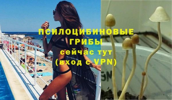 шишки Вяземский